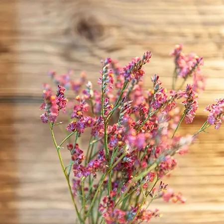 - Your Austrian Grundlsee