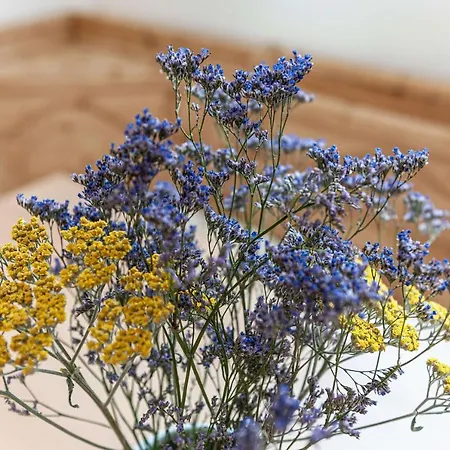 - Your Austrian Apartment