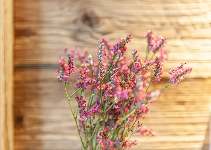 - Your Austrian Grundlsee