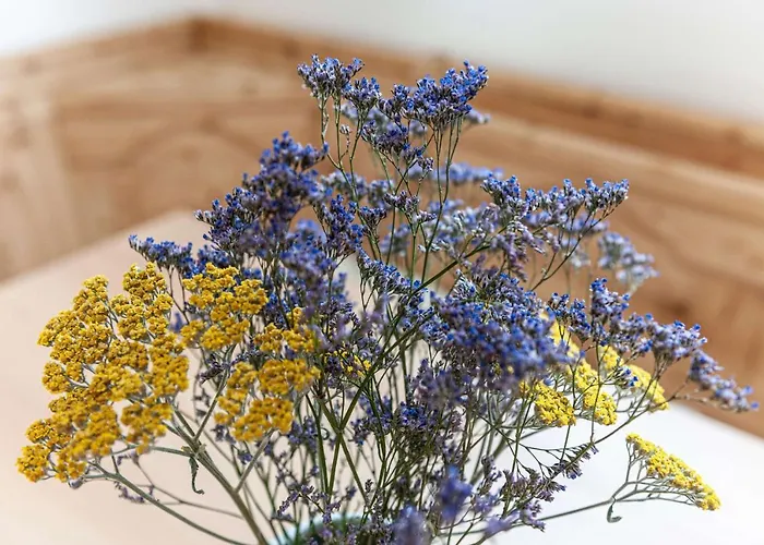 - Your Austrian Apartmán